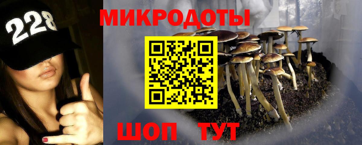 Галлюциногенные грибы мицелий Королёв