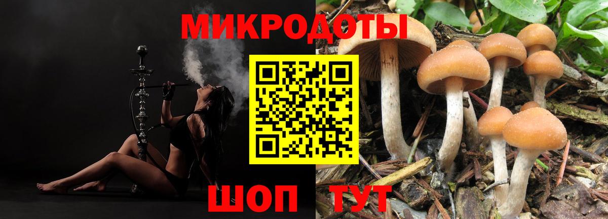 Королёв  Псилоцибиновые грибы Cubensis  Псилоцибиновые грибы GOLDEN TEACHER  Вход с VPN 